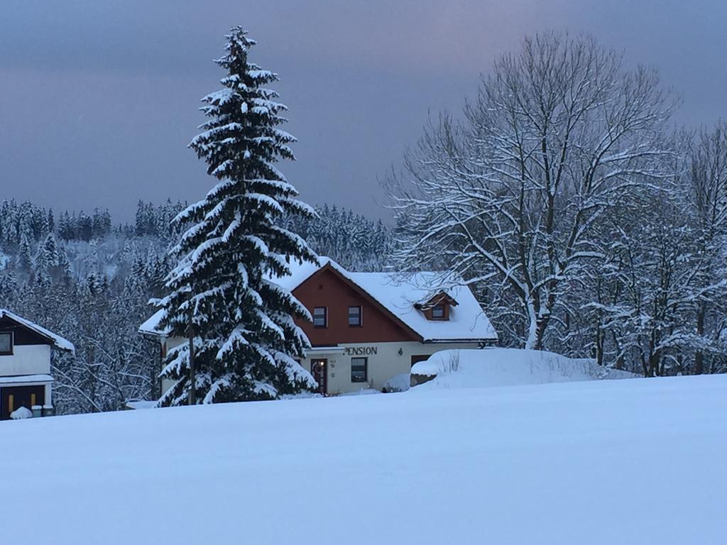 Penzion Zrzka Kořenov Buitenkant foto