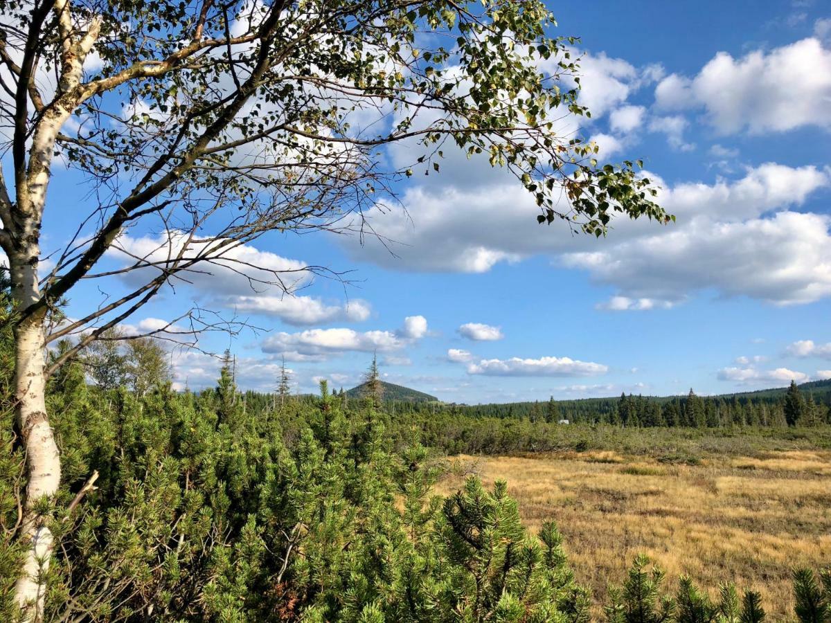 Penzion Zrzka Kořenov Buitenkant foto